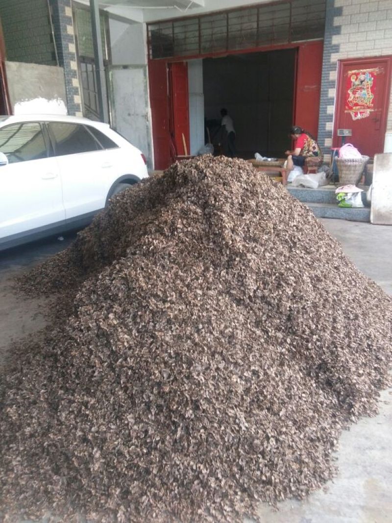 纯手工筛选分心木
