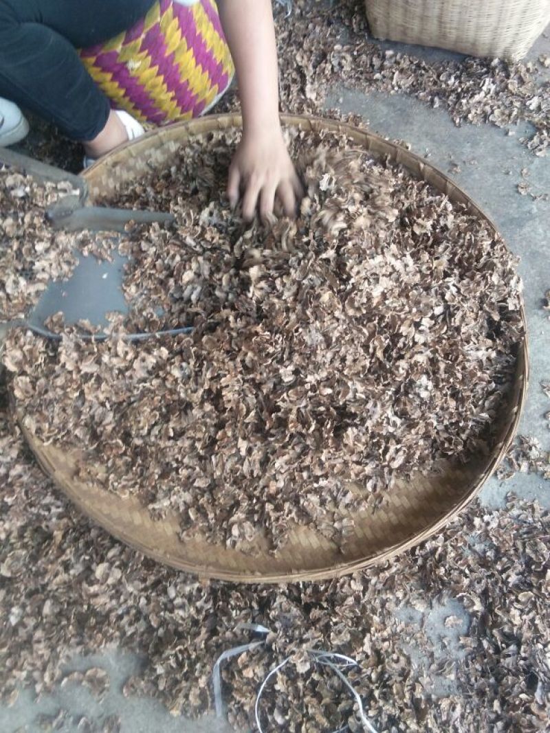 纯手工筛选分心木