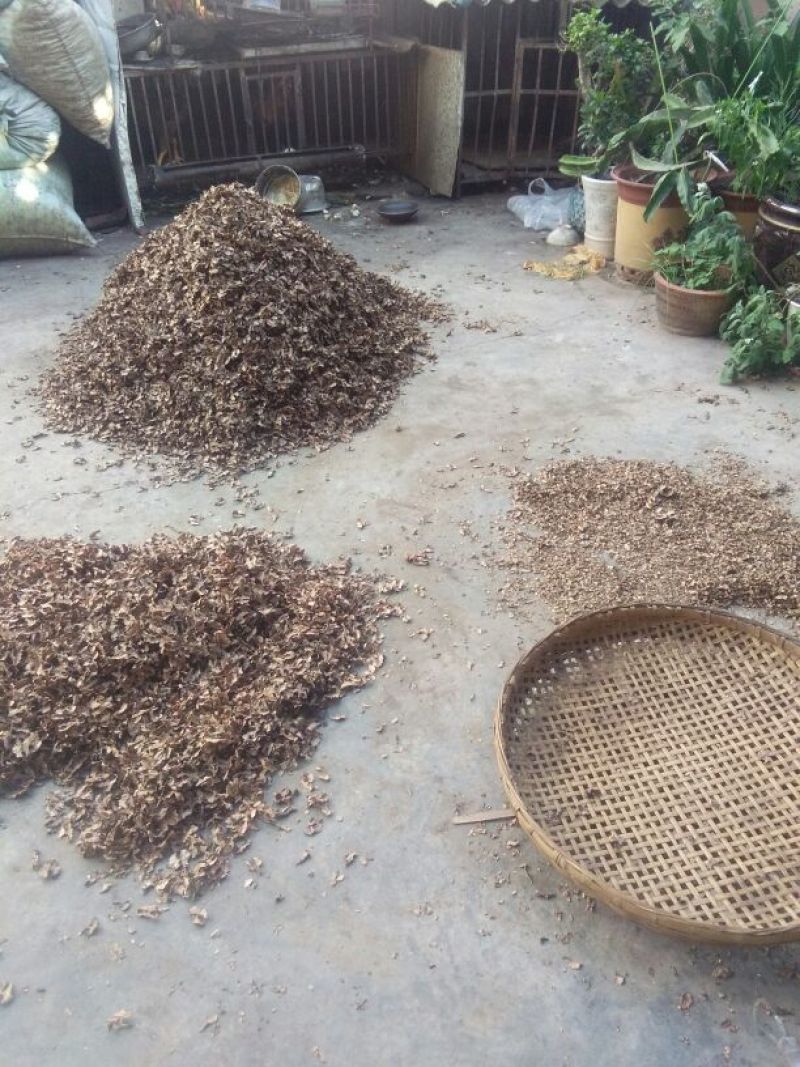 纯手工筛选分心木