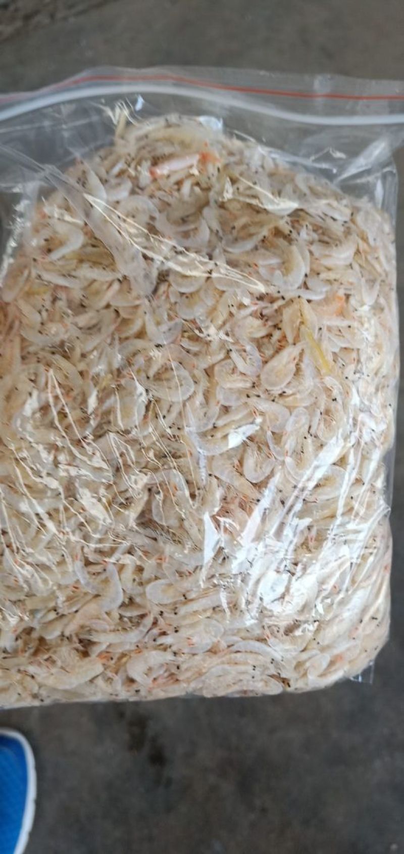 烘干，压干虾皮，大量上市，保证一手货源，