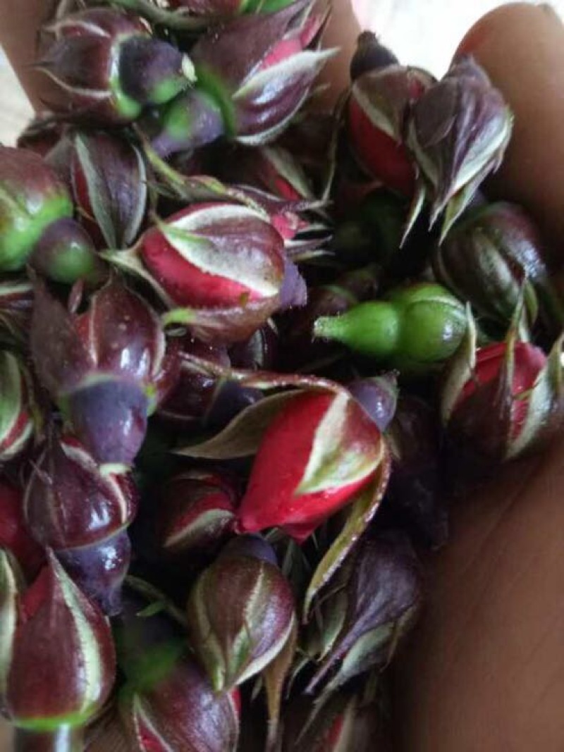 云南金边玫瑰花茶玖瑰花茶干玫瑰
