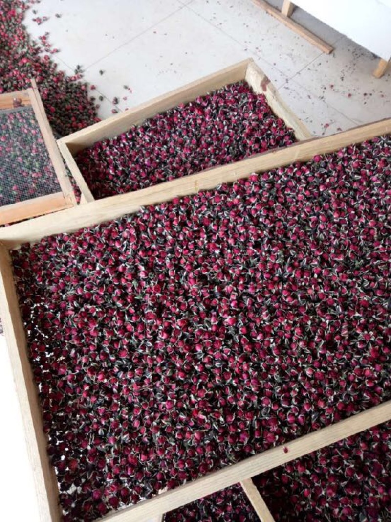 云南金边玫瑰花茶玖瑰花茶干玫瑰