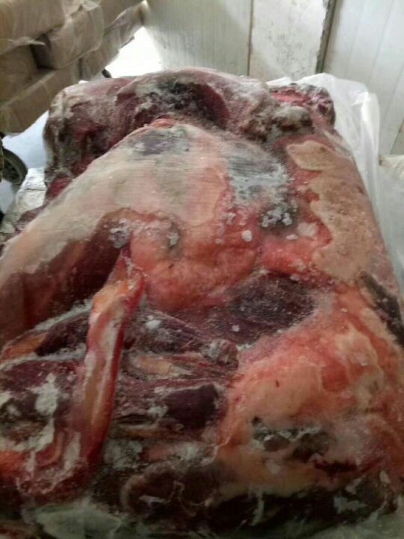 驴肉请选购优质驴肉马肉板肠