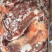 驴肉请选购优质驴肉马肉板肠