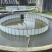 黄颡鱼苗黄骨鱼苗