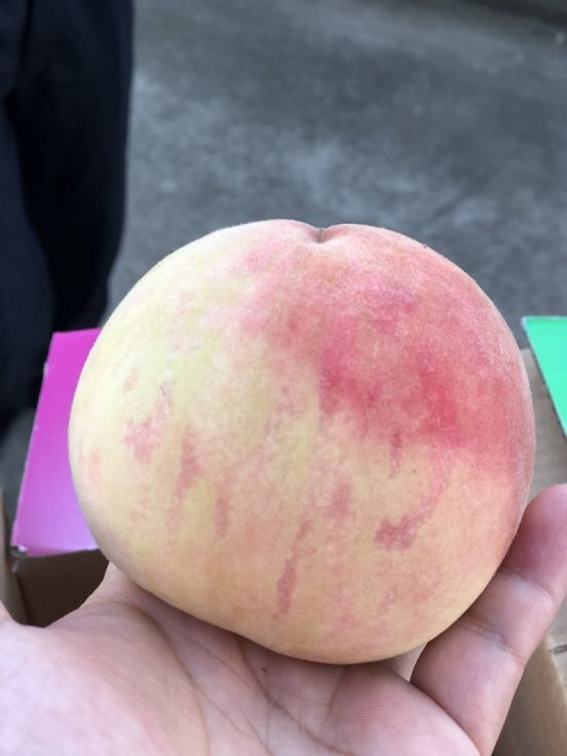 南汇水蜜桃75mm以上