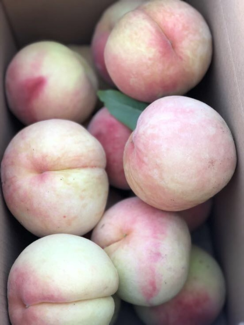 南汇水蜜桃75mm以上