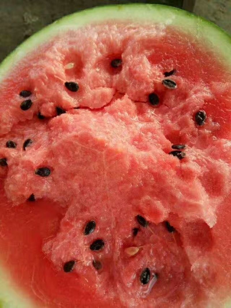 京欣西瓜🍉，甜王，直根，