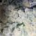 张家口尚义蔬菜种植基地大量供应有机散花