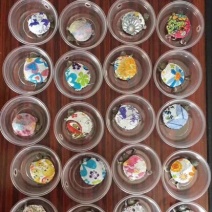 巴西龟0.5斤以下