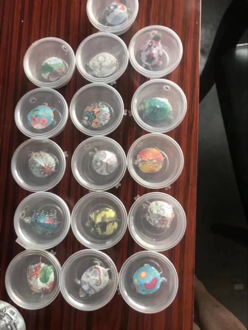 巴西龟0.5斤以下