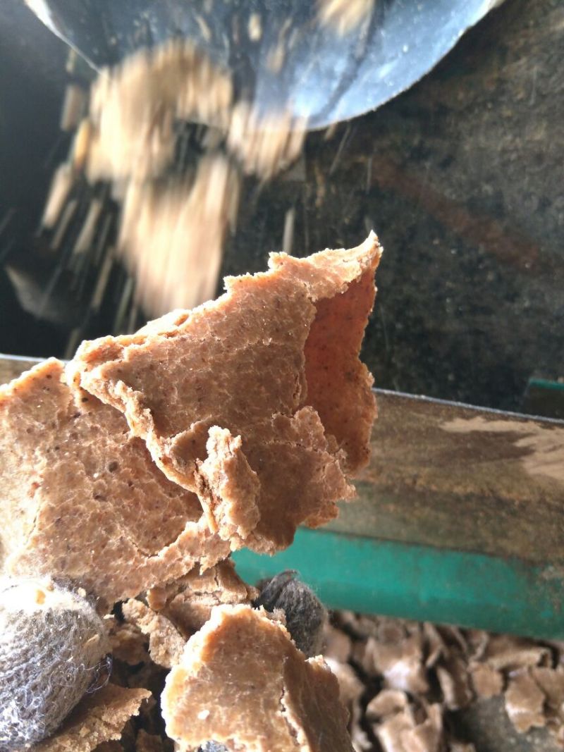 纯仁花生饼