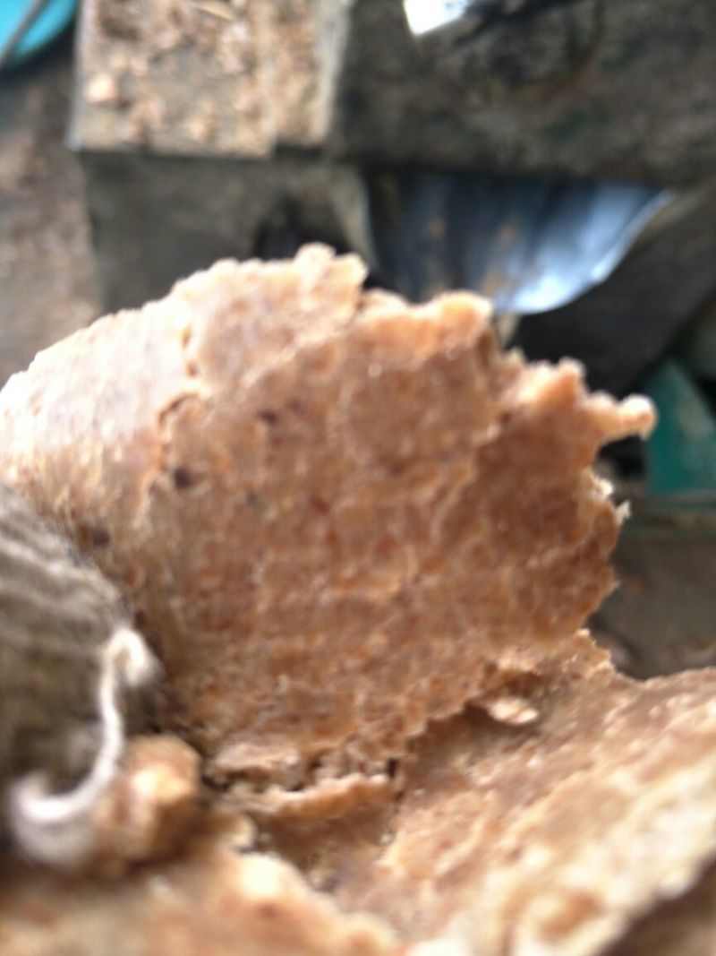 纯仁花生饼