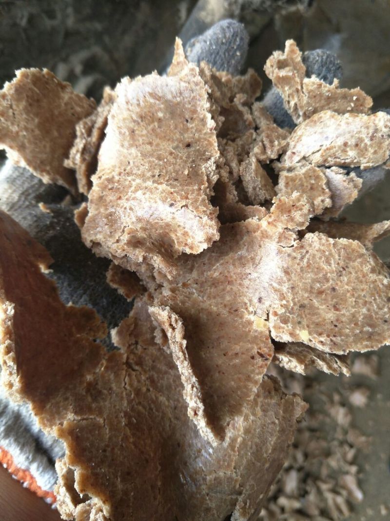 纯仁花生饼