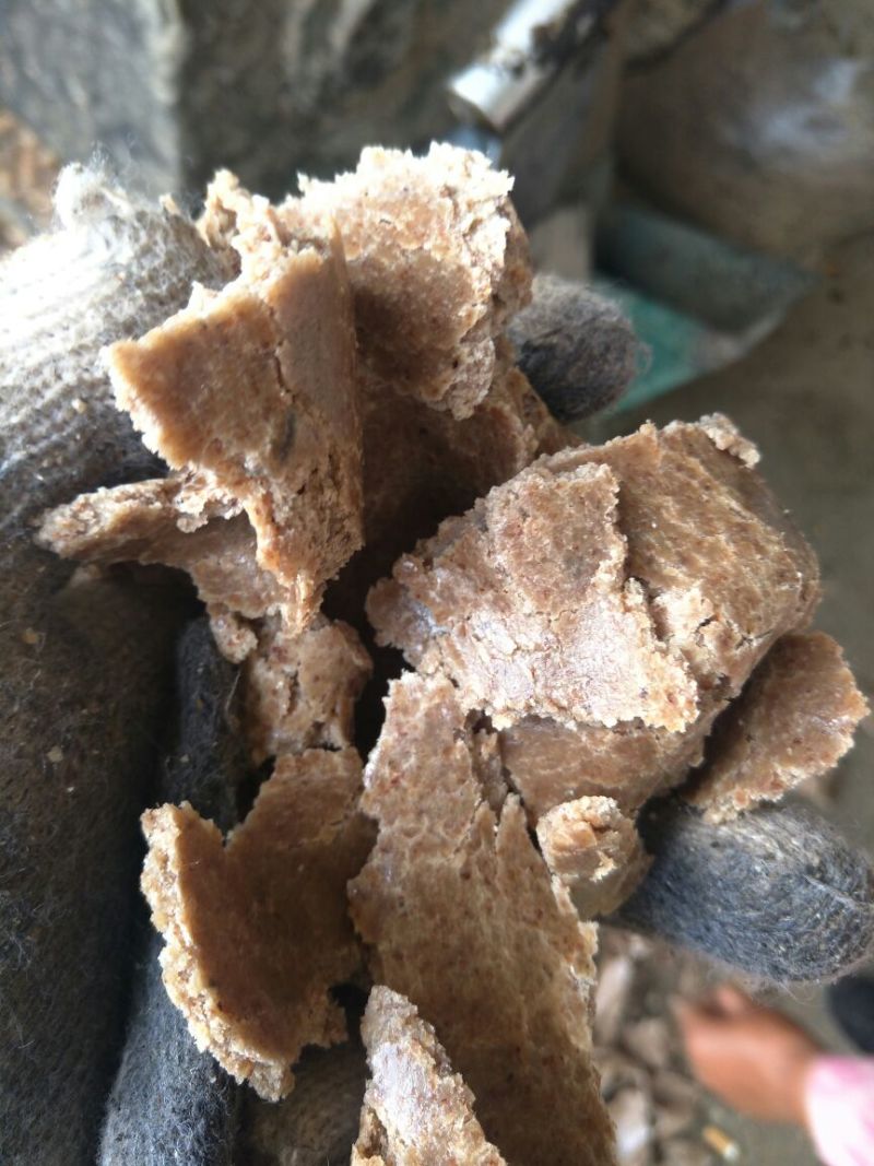 纯仁花生饼