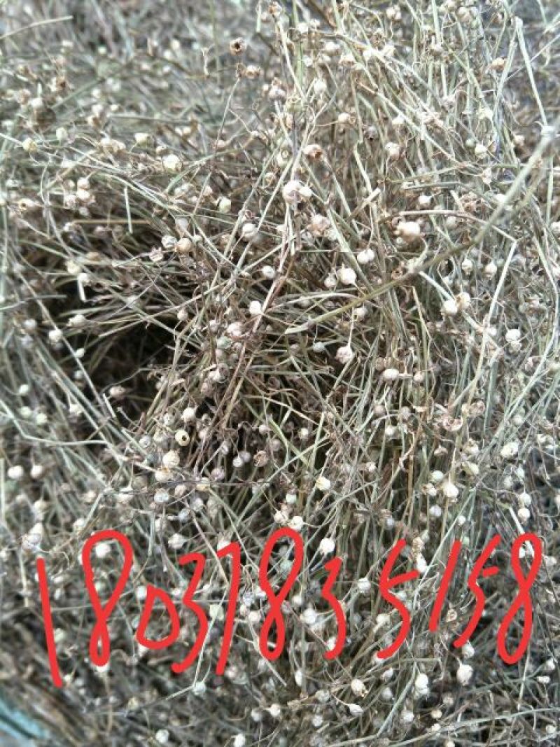 夏枯球，白花蛇舌草，半枝莲。