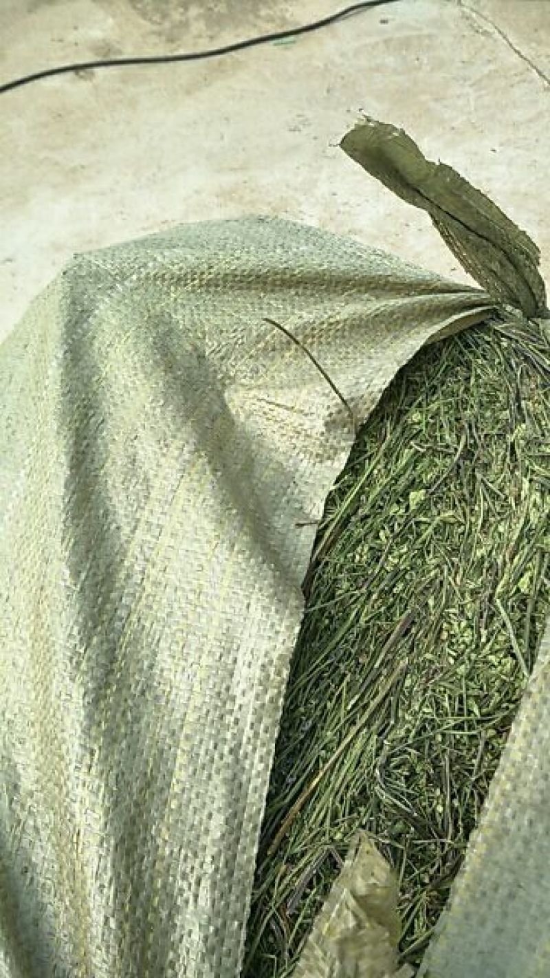 夏枯球，白花蛇舌草，半枝莲。