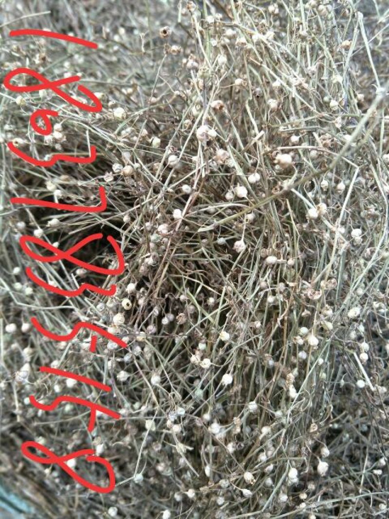夏枯球，白花蛇舌草，半枝莲。