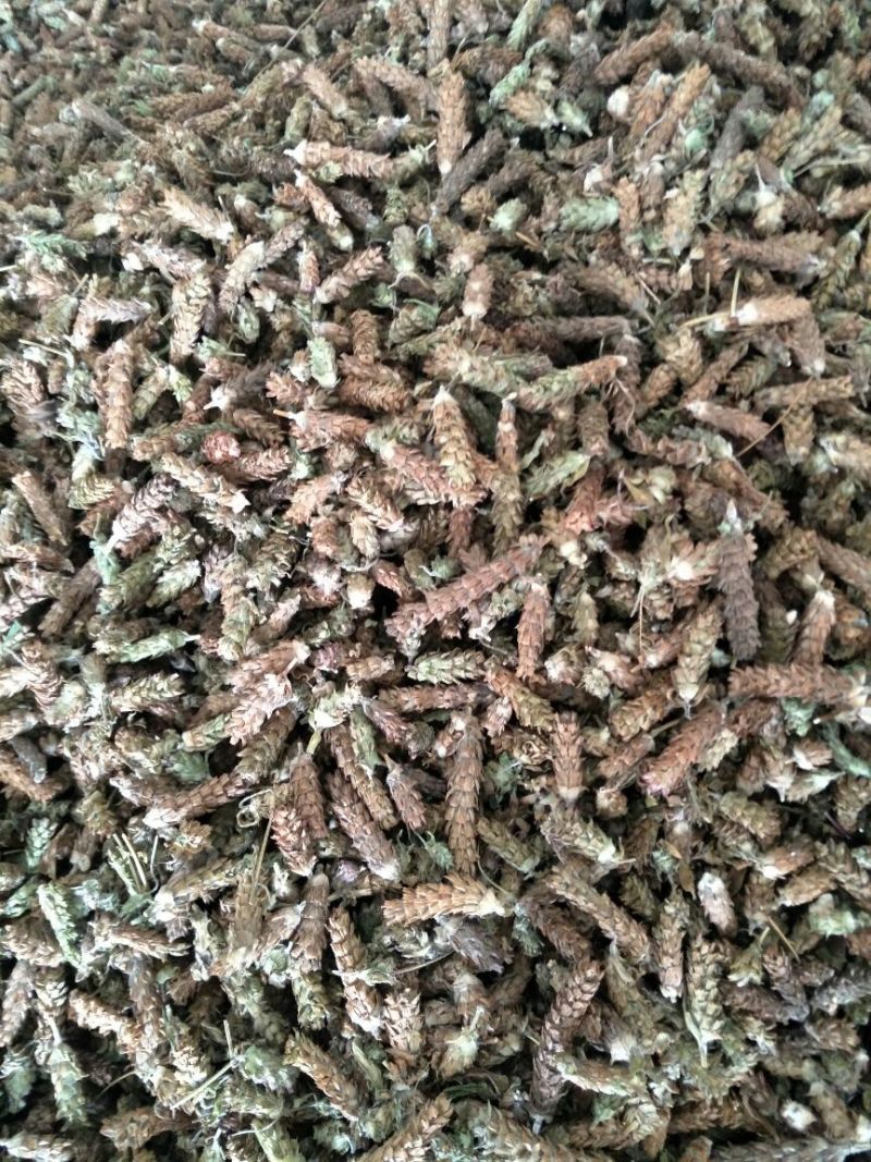 夏枯球，白花蛇舌草，半枝莲。