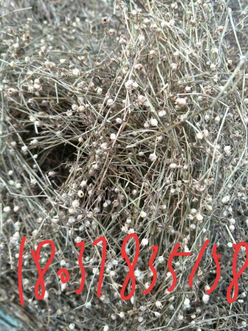 夏枯球，白花蛇舌草，半枝莲。