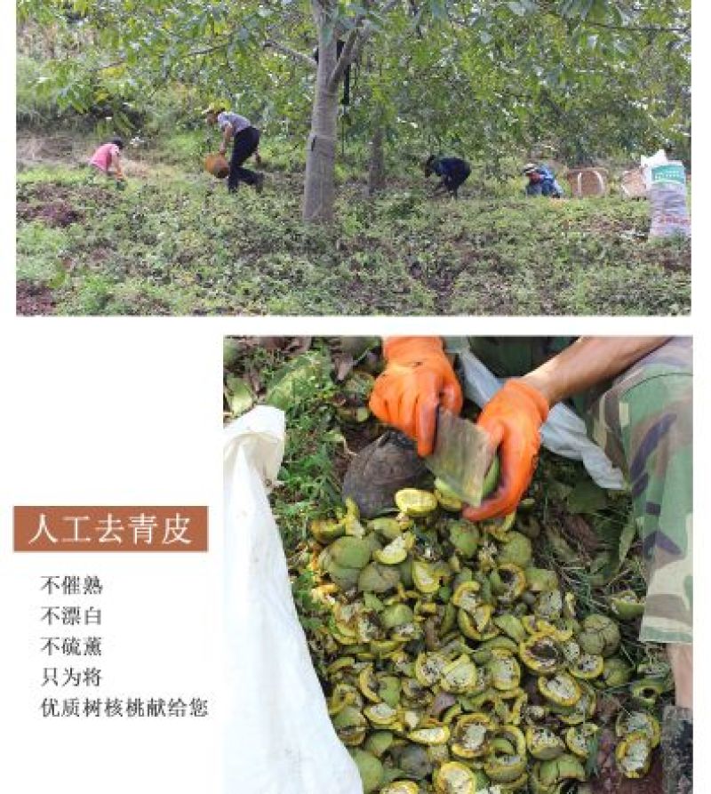 一件代发，云南深山老品种核桃一件5斤包邮