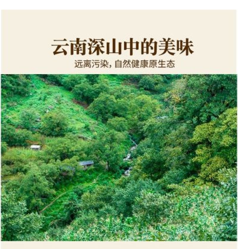 一件代发，云南深山老品种核桃一件5斤包邮