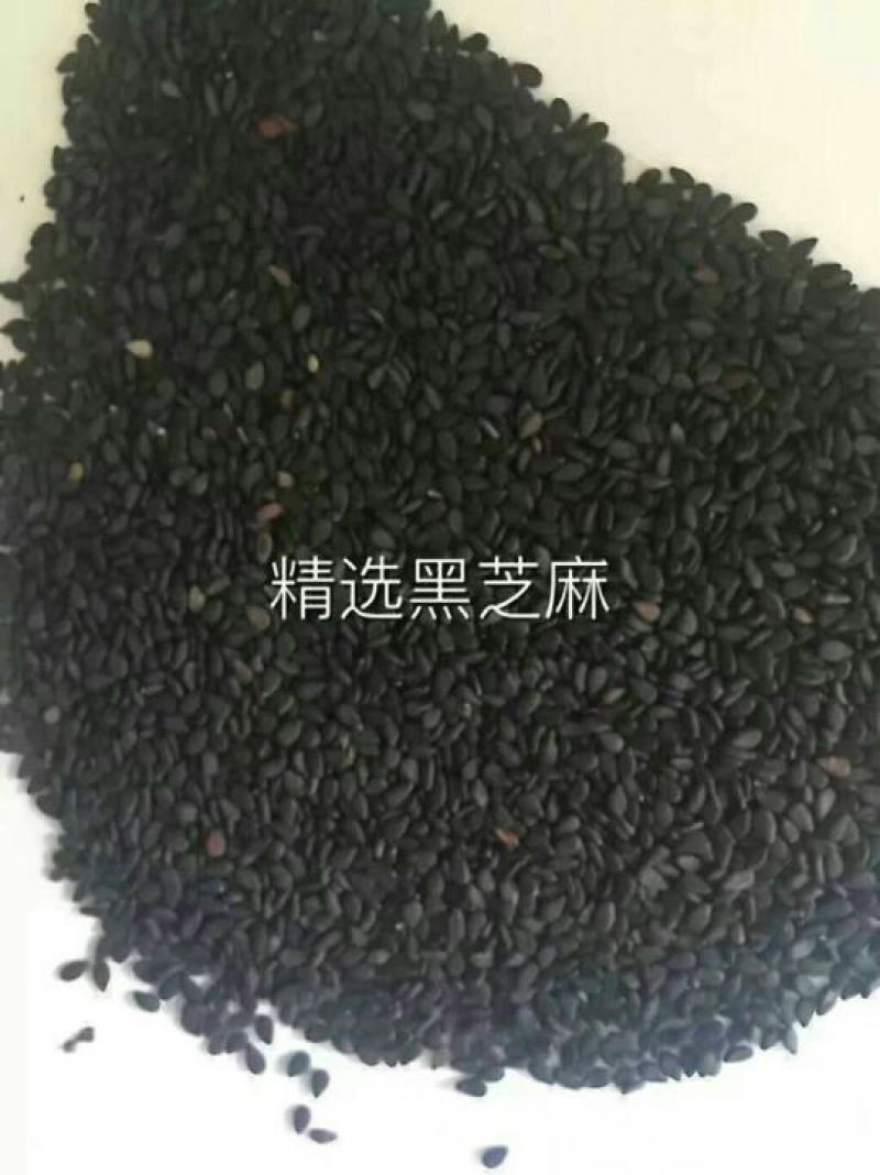 黄骅高筋小麦粉，精选黑芝麻，芝麻仁
