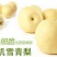 雪青梨纸袋300~350g
