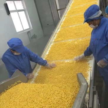 新鲜玉米粒，青豆
