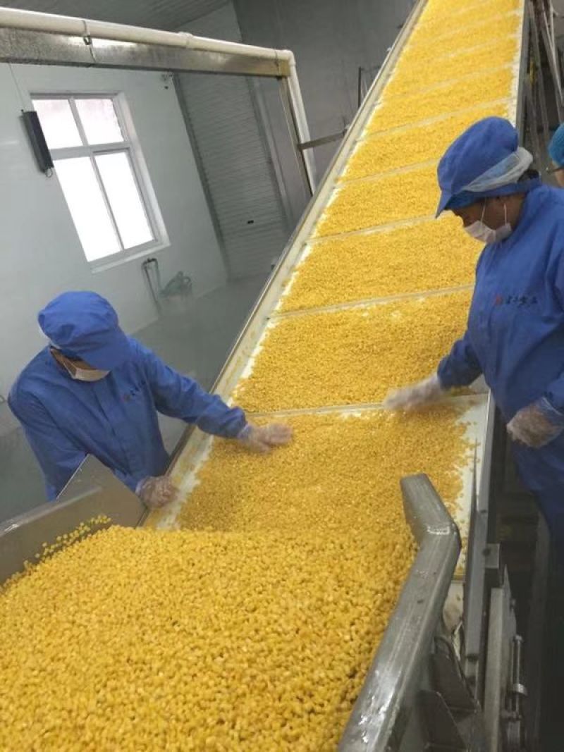 新鲜玉米粒，青豆