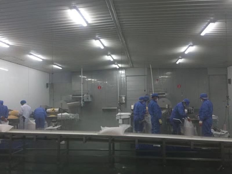 新鲜玉米粒，青豆