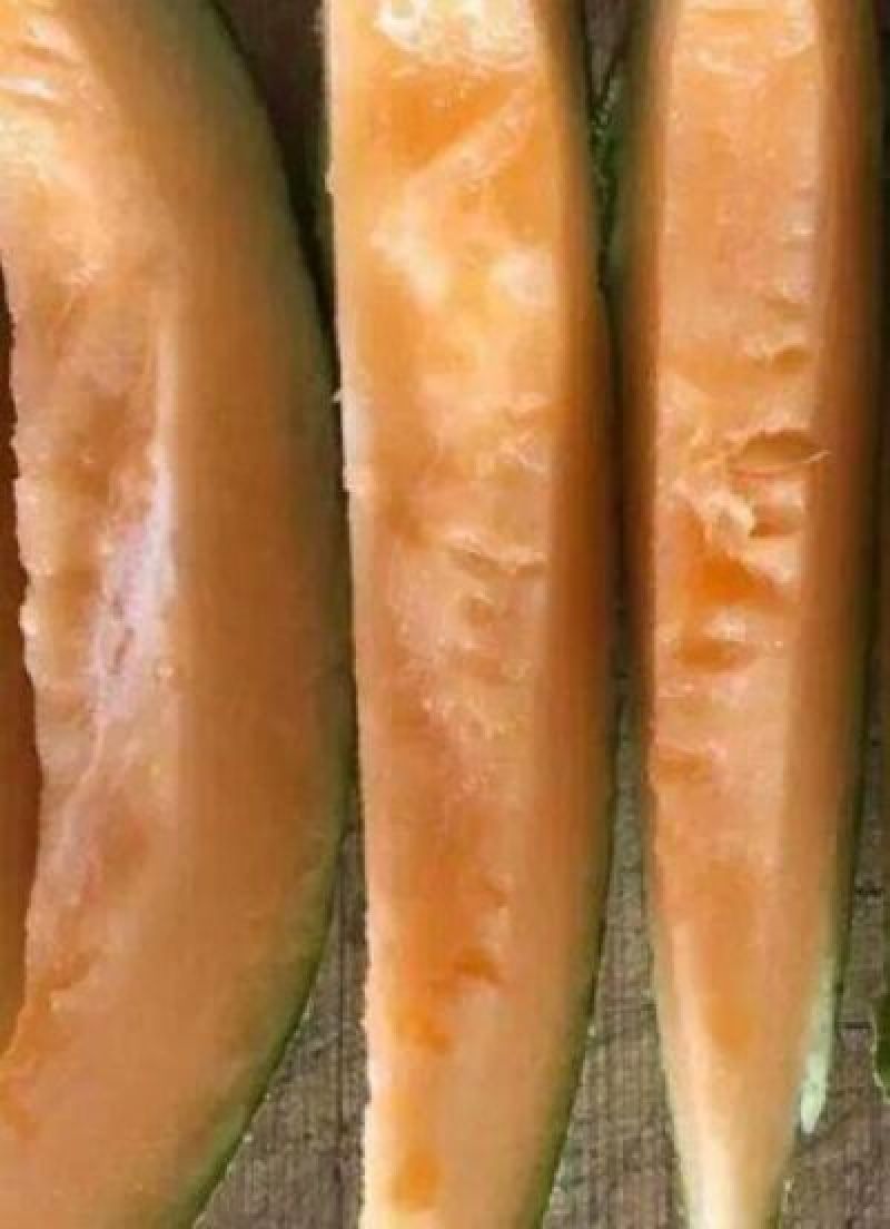 巴盟哈密瓜8月20号左右上市，需要的老板提前预定
