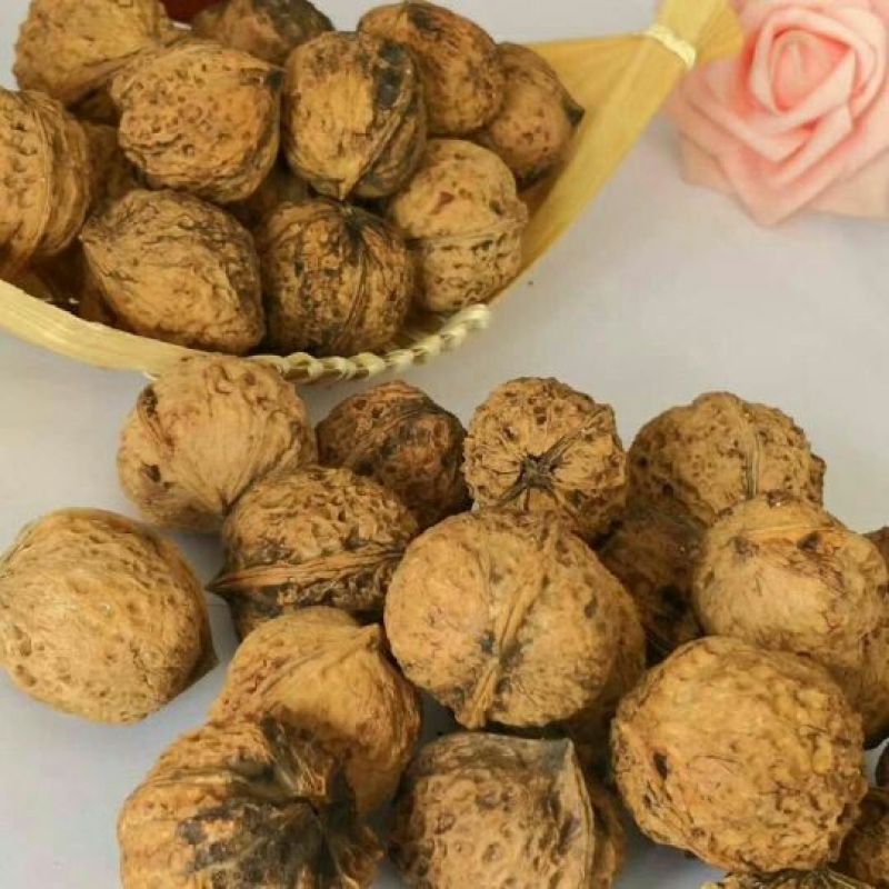 云南薄皮核桃