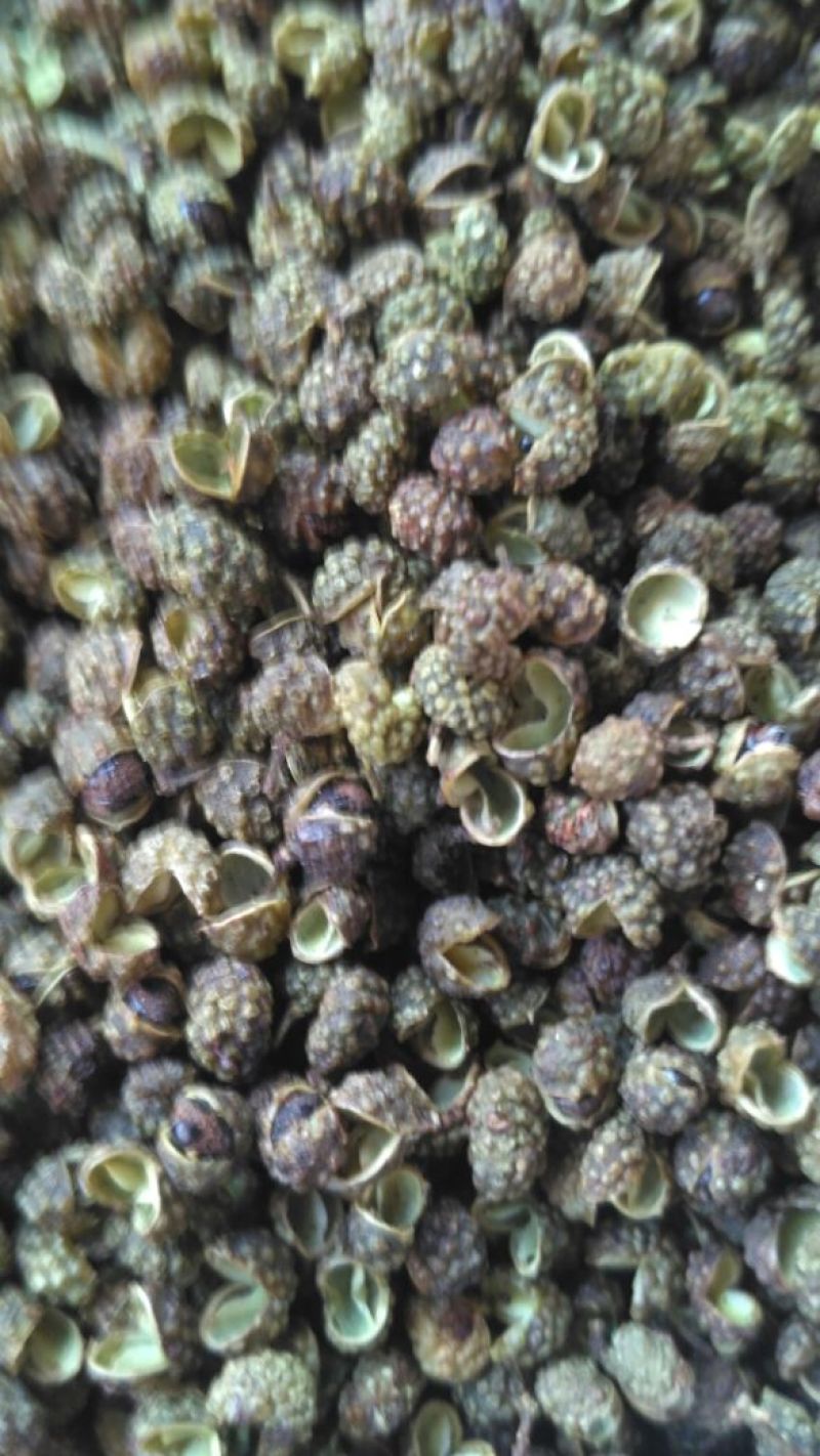 花椒，粿粒壮