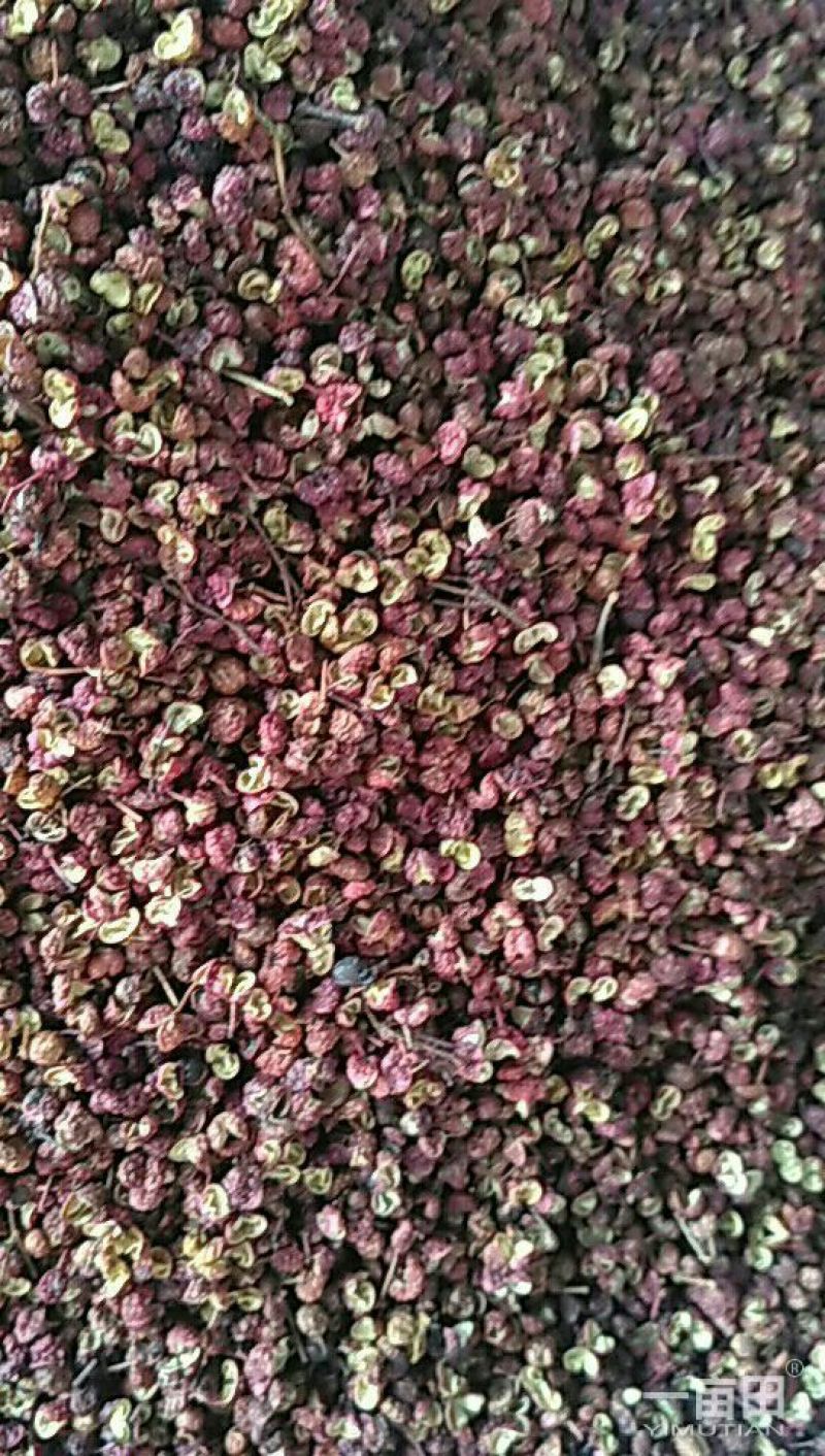 花椒，粿粒壮