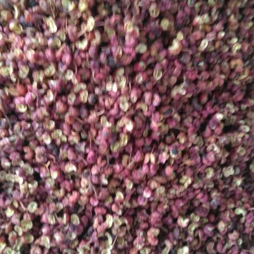 花椒，粿粒壮