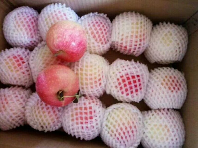 礼泉县嘎啦苹果，青果大量供应