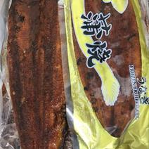 日本鳗0.5~0.6公斤/尾