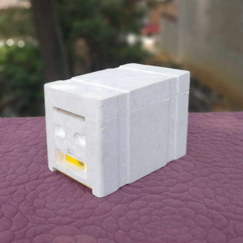 蜂箱小型蜂王交未箱育王箱包邮