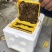 蜂箱小型蜂王交未箱育王箱包邮