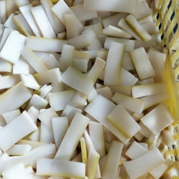 盐笋片笋片麻竹笋片鲜嫩爽口品质保证欢迎联系