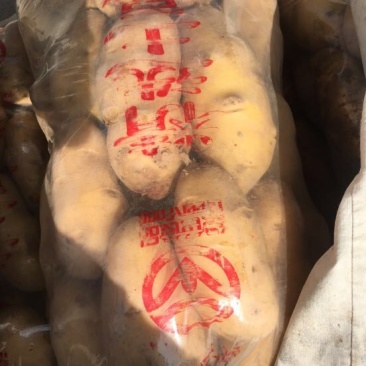 精品露天土豆3两以上精品
