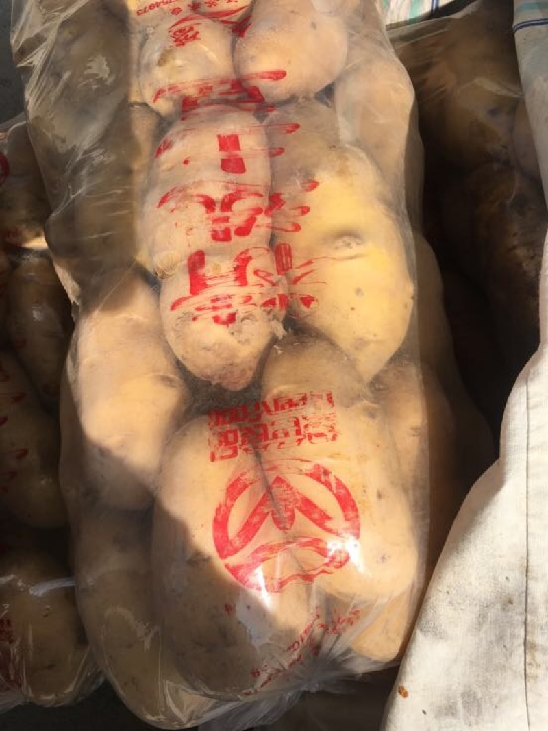精品露天土豆3两以上精品