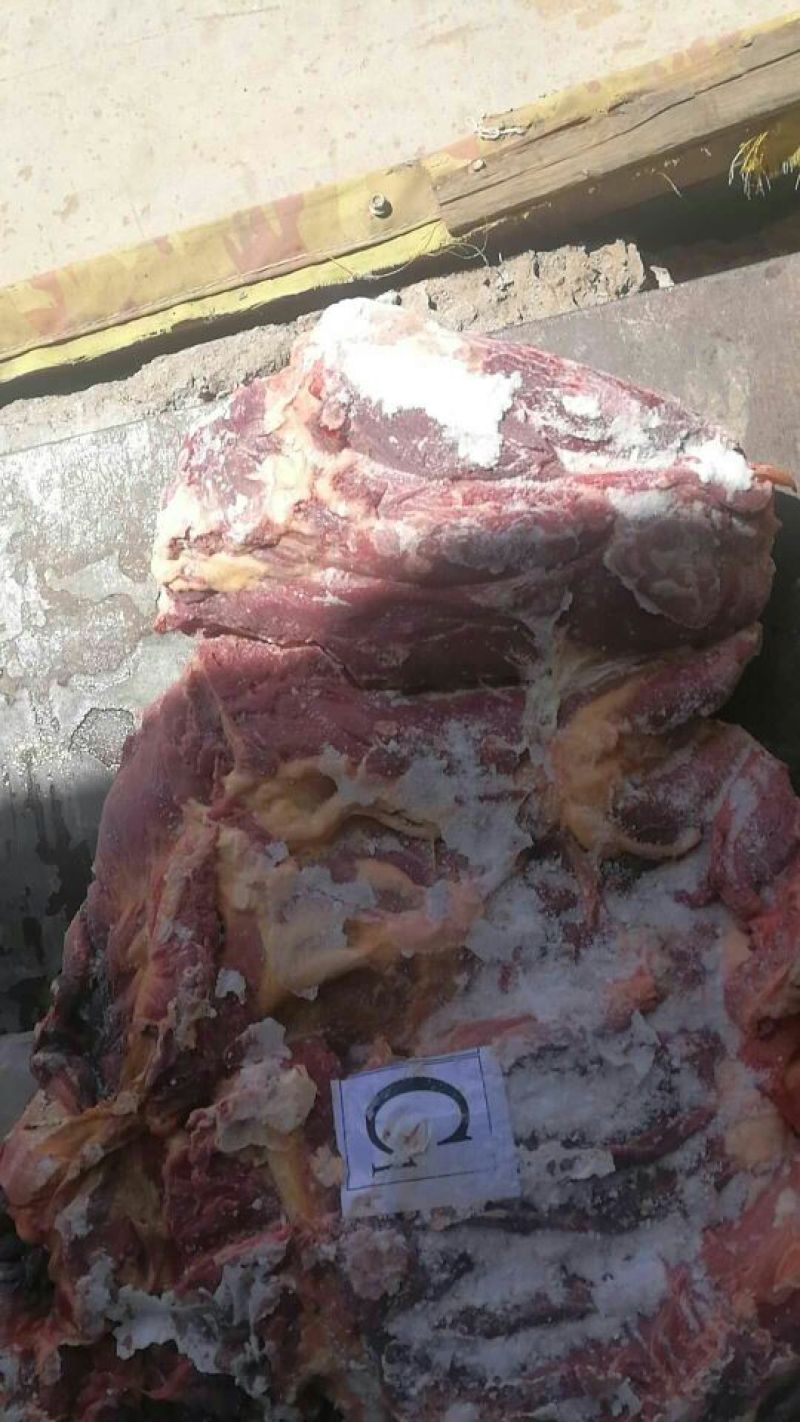 蒙古绿色马肉