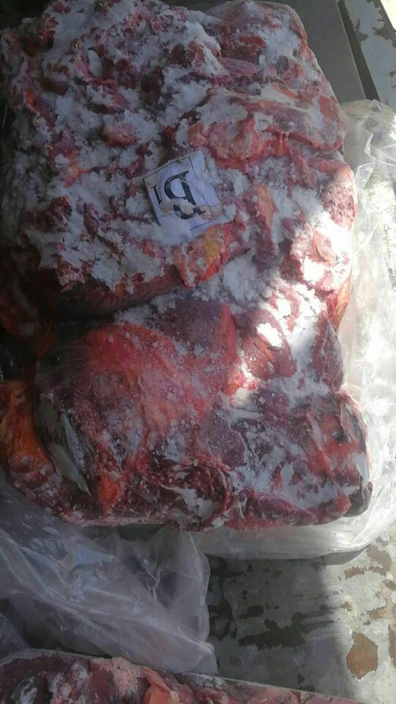 蒙古绿色马肉