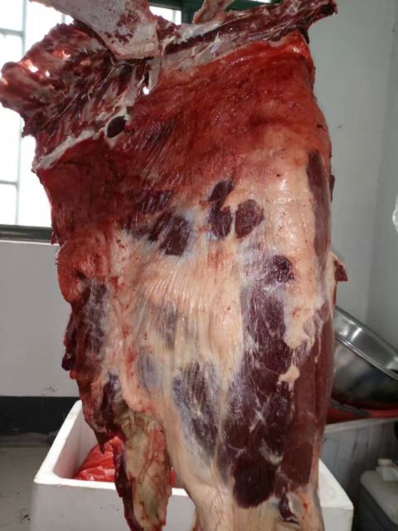 驴肉