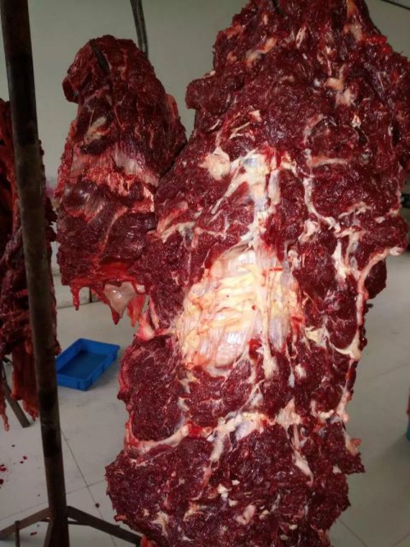 驴肉