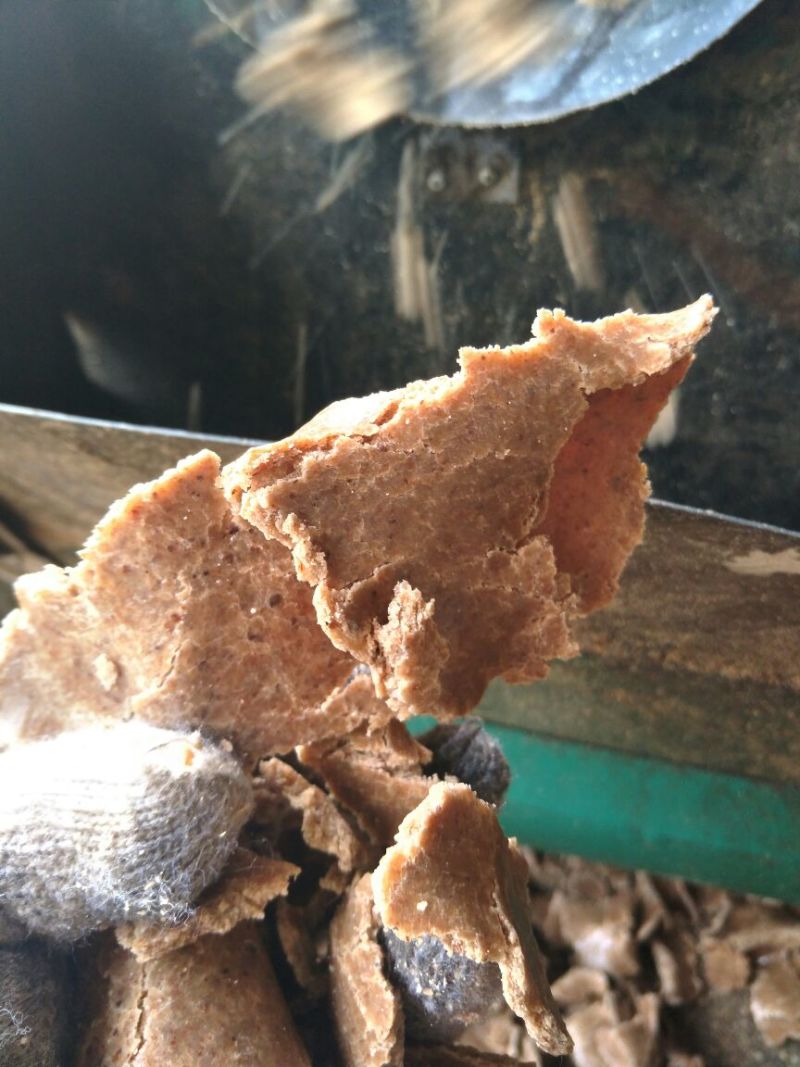 花生饼