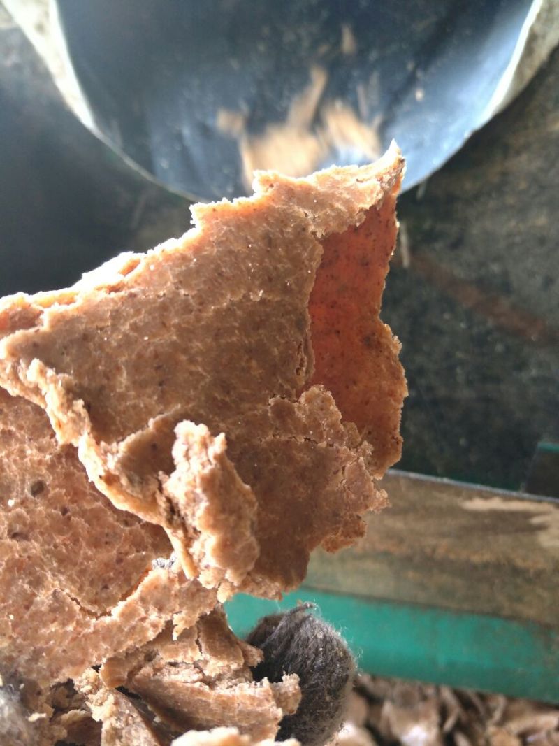 花生饼