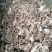 花生饼